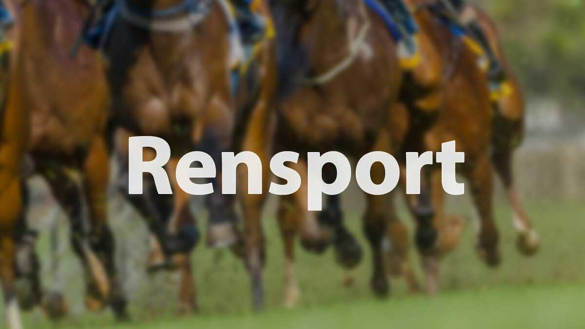 Wedden op paarden